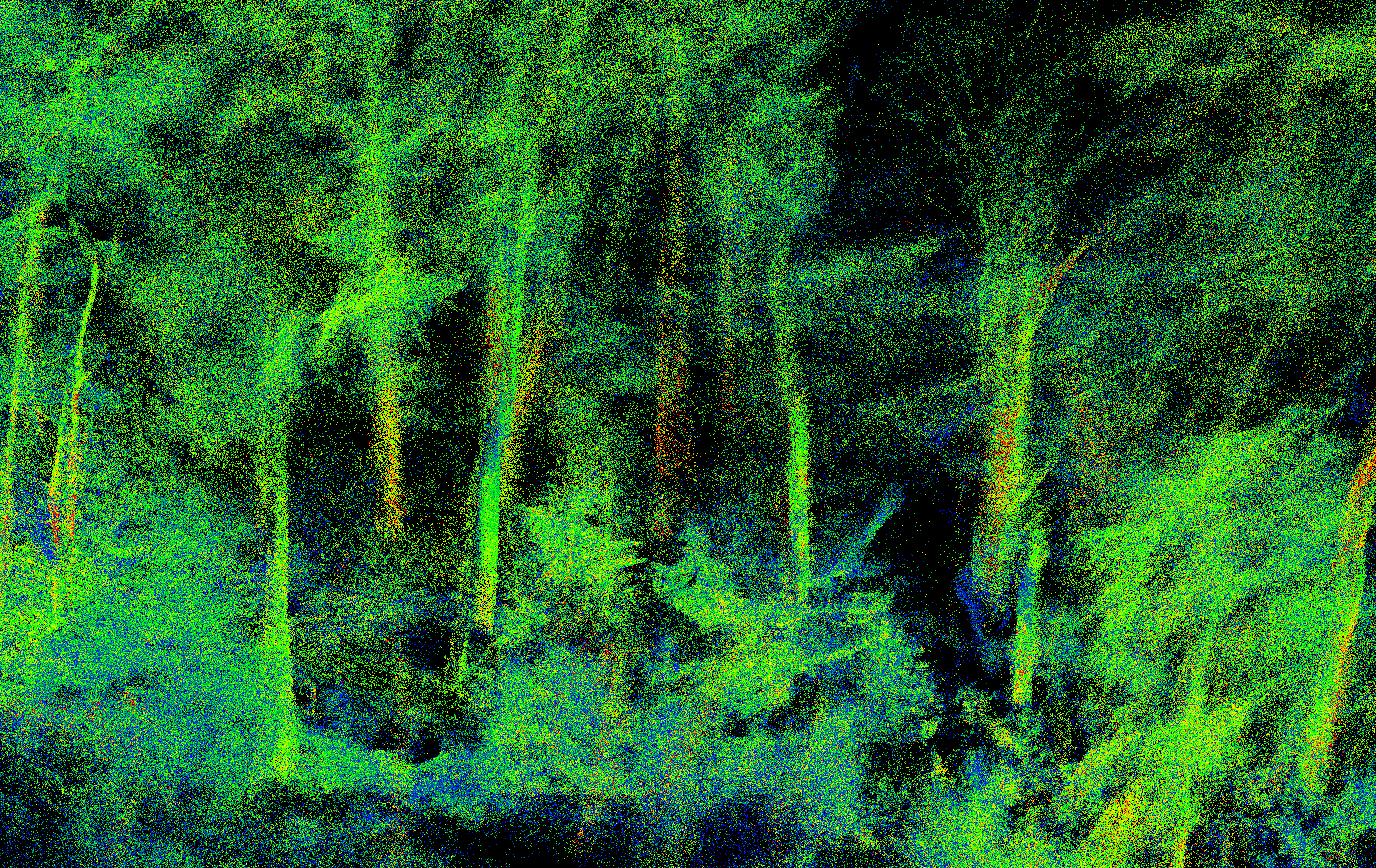 LiDAR-Punktwolke des Stadtwalds mit höhenkodiertem Baumbestand